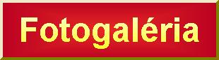 fotogaleria